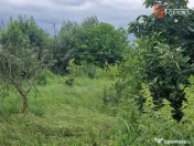 Teren intravilan de 1438 mp de vanzare, in Recas 