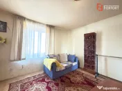 Casa individuala cu 6 camere de vanzare in localitatea Sacal 