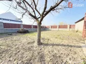 Casa individuala cu 6 camere de vanzare in localitatea Sacal 