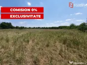 COMISION 0% Teren de vanzare intravilan de 5000 mp in Chisod