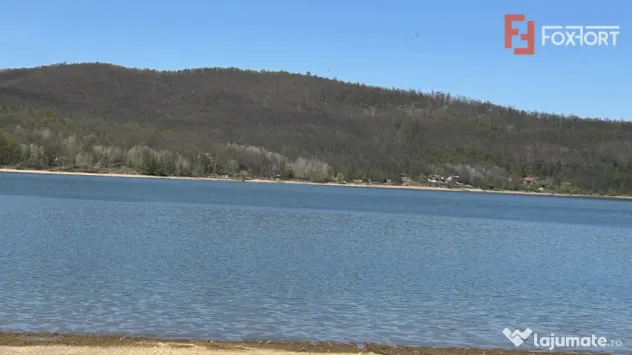 Teren de vanzare 6000 mp cu iesire la Lac Surduc - Fardea (Timis)