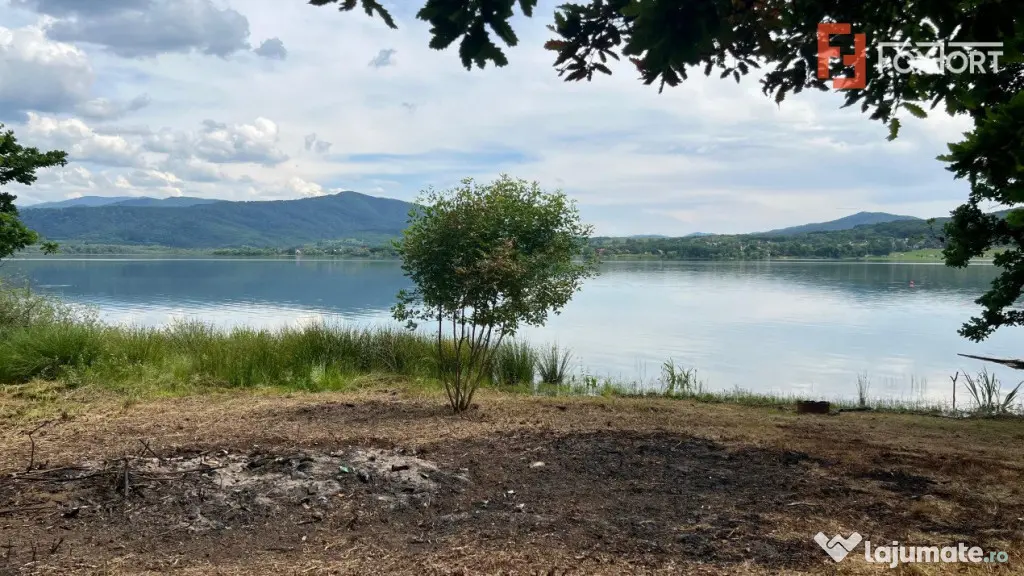 Teren de vanzare 6000 mp cu iesire la Lac Surduc - Fardea (Timis)
