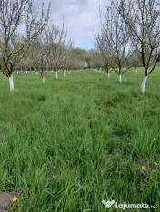 De vânzare teren extravilan în Sfântu Gheorghe 