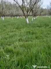 De vânzare teren extravilan în Sfântu Gheorghe 
