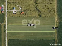 Buziaș – 23.000 mp intravilan | 6 €/mp | investiție