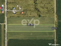 Buziaș – 23.000 mp intravilan | 6 €/mp | investiție