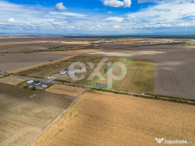 Buziaș – 23.000 mp intravilan | 6 €/mp | investiție - Buzias (Timis)