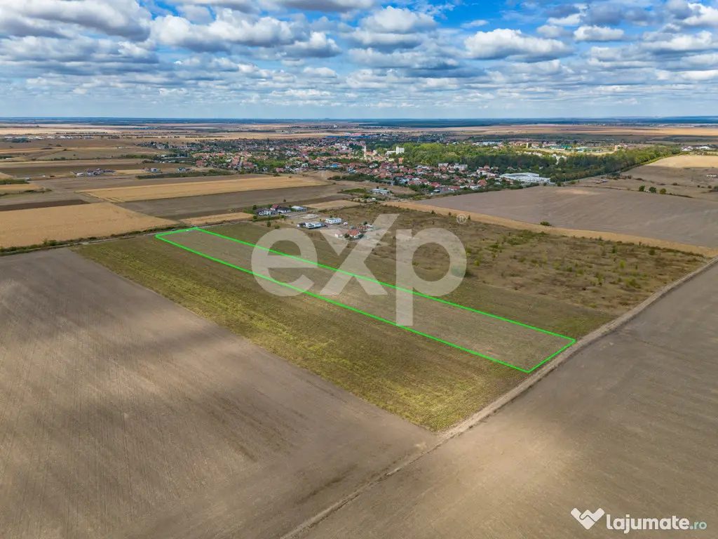 Buziaș – 23.000 mp intravilan | 6 €/mp | investiție - Buzias (Timis)