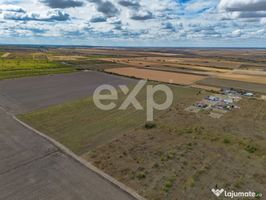 Buziaș – 23.000 mp intravilan | 6 €/mp | investiție - Buzias (Timis)