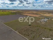 Buziaș – 23.000 mp intravilan | 6 €/mp | investiție 