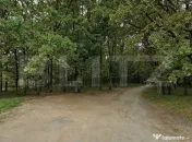 Teren intravilan 6.000 mp | Parcelabil | Teren plan | Padure