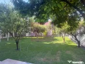 Vila P+1+M incojurata de o oaza de liniste si verdeata Bragadiru. 
