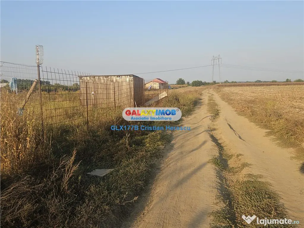 Sabareni Teren 850 mp dubla deschidere Str Viilor - Sabareni (Giurgiu)