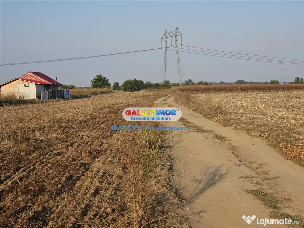 Sabareni Teren 850 mp dubla deschidere Str Viilor - Sabareni (Giurgiu)