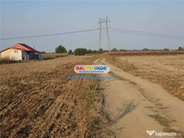 Sabareni Teren 850 mp dubla deschidere Str Viilor - Sabareni (Giurgiu)