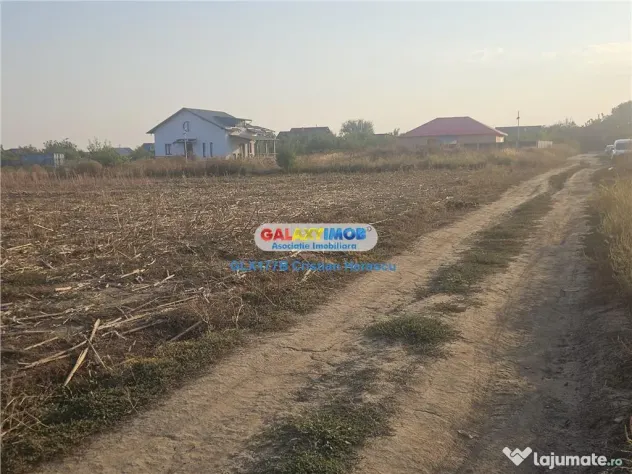 Sabareni Teren 850 mp dubla deschidere Str Viilor - Sabareni (Giurgiu)