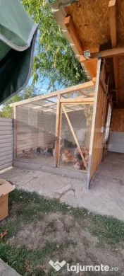 Casa cu 2 corpuri si anexe 