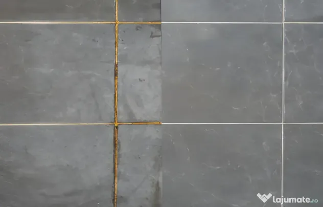 Curatenie Bucuresti si Ilfov - Standard Hotel 5 Stele | Nabira Clean
