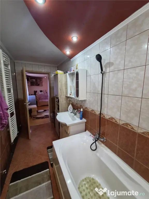 Casa individuala - zona 6 Vanatori - Arad (Arad)