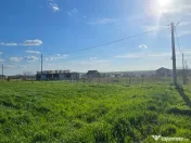 Anunturi vanzari terenuri in Tuzla 