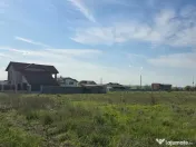 Anunturi vanzari terenuri in Tuzla 