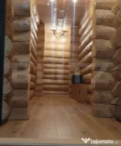 Cabana din bustean masiv si o suprafata de teren de 9000 mp