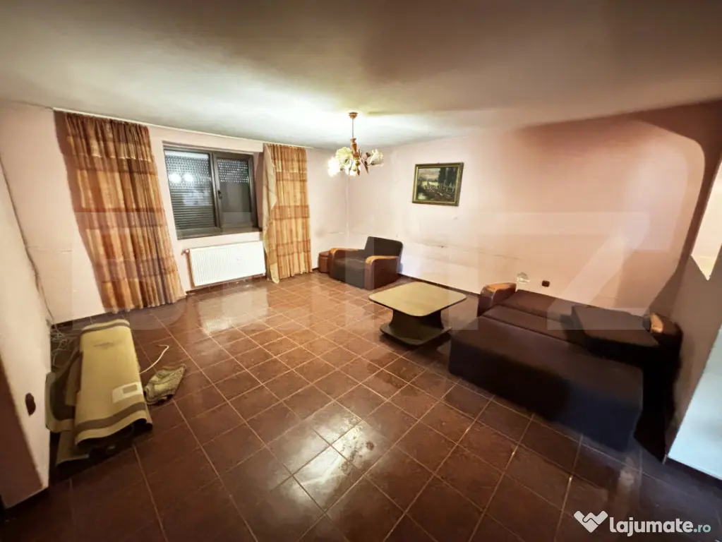 Spațiu cu comercial, 170 mp, zona Sagului - Timisoara (Timis)