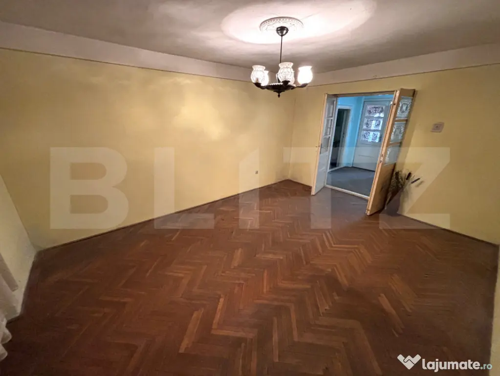 Spațiu cu comercial, 170 mp, zona Sagului - Timisoara (Timis)