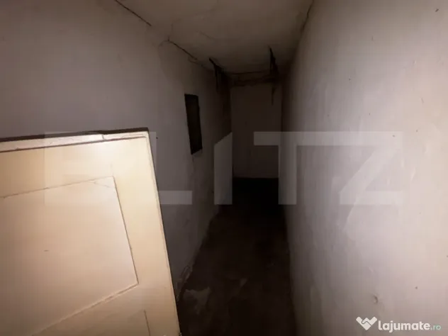 Spațiu cu comercial, 170 mp, zona Sagului - Timisoara (Timis)