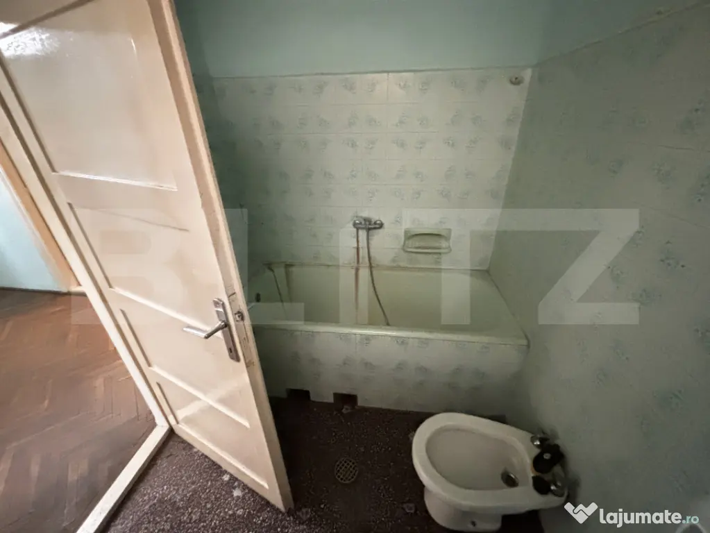 Spațiu cu comercial, 170 mp, zona Sagului - Timisoara (Timis)