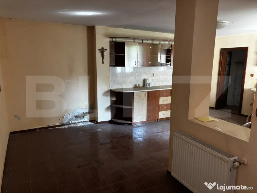 Spațiu cu comercial, 170 mp, zona Sagului - Timisoara (Timis)