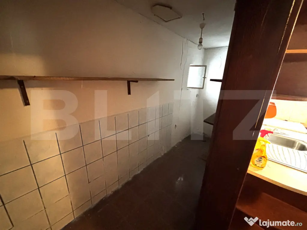 Spațiu cu comercial, 170 mp, zona Sagului - Timisoara (Timis)