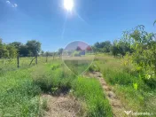 CASĂ CU TEREN GENEROS ȘI PANOURI FOTOVOLTAICE – BLĂJEL 