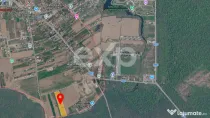 Teren Intravilan Ghermanesti Padure