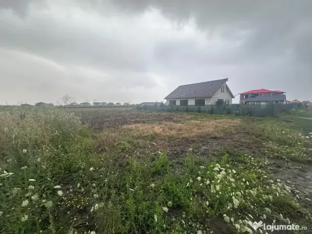 Teren intravilan Cartier Raza Soarelui - Brasov (Brasov)