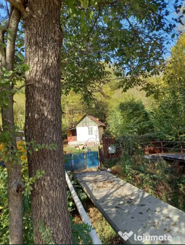 Casa de vacanta in pădure aproape București