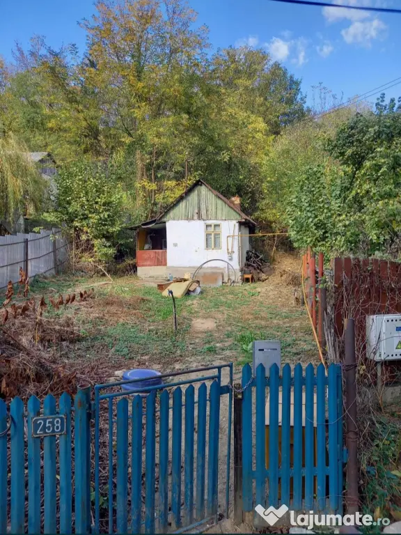Casa de vacanta in pădure aproape București