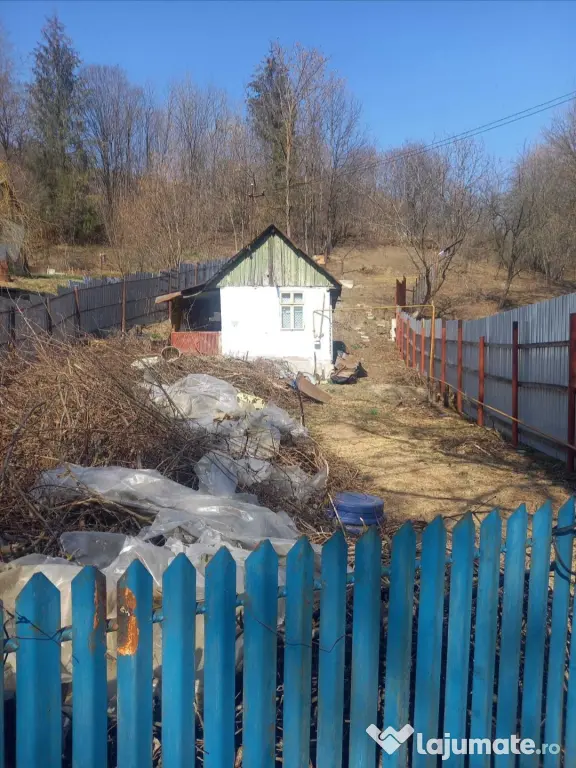 Casa de vacanta in pădure aproape București