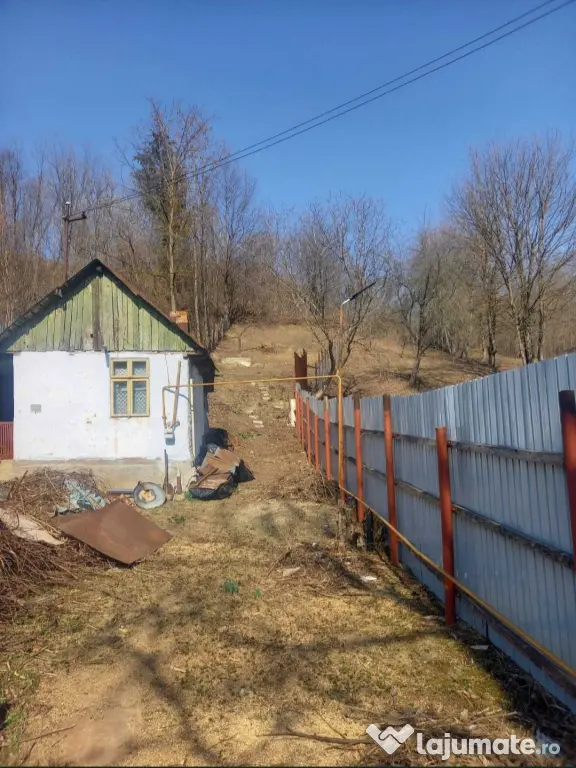 Casa de vacanta in pădure aproape București