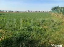 Teren de vanzare, 15 ari, zona Plopeni