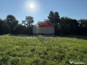 Ocoliș, teren de vânzare cu propiect de casă și racord branșamente
