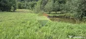 Teren de vis de 2.800 mp pe Valea Tărcăului – Cu lac natural și pădure 