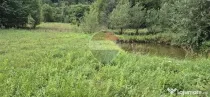 Teren de vis de 2.800 mp pe Valea Tărcăului – Cu lac natural și pădure