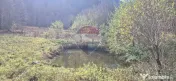 Teren de vis de 2.800 mp pe Valea Tărcăului – Cu lac natural și pădure 