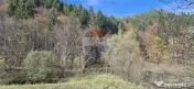 Teren de vis de 2.800 mp pe Valea Tărcăului – Cu lac natural și pădure 