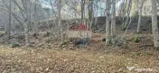 Teren de vis de 2.800 mp pe Valea Tărcăului – Cu lac natural și pădure 