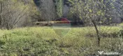 Teren de vis de 2.800 mp pe Valea Tărcăului – Cu lac natural și pădure 
