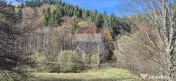 Teren de vis de 2.800 mp pe Valea Tărcăului – Cu lac natural și pădure 