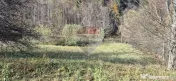 Teren de vis de 2.800 mp pe Valea Tărcăului – Cu lac natural și pădure 