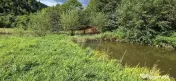 Teren de vis de 2.800 mp pe Valea Tărcăului – Cu lac natural și pădure 
